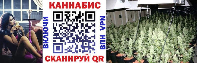 Купить  Богучар  Каннабис индика 